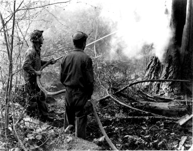393520 CCC Fighting Fire, Columbia NF, WA 1937 photo