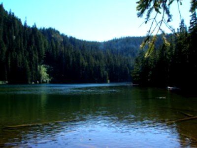 Frying Pan Lake in the Roaring River Wilderness-Mt Hood photo