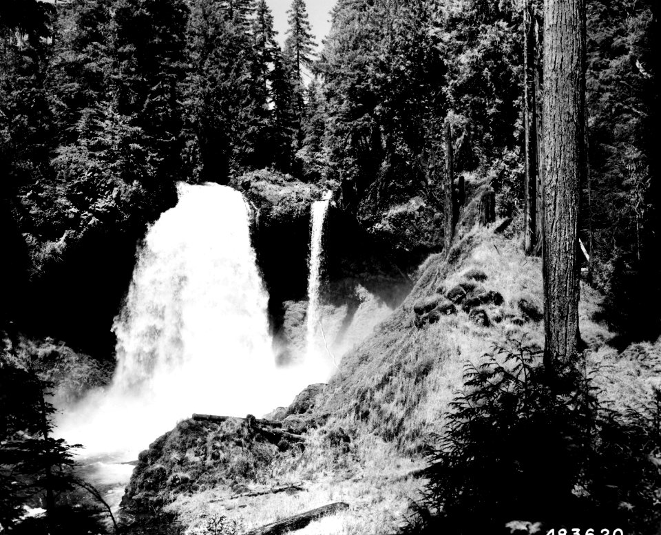 483620 Sahalie Falls, Willamette NF, OR 1957 (2)