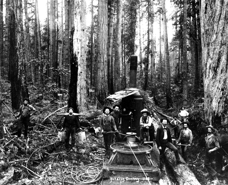 85563 Donkey Engine Yarding Logs, WA 1908 French