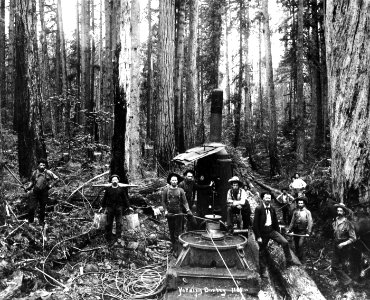 85563 Donkey Engine Yarding Logs, WA 1908 French