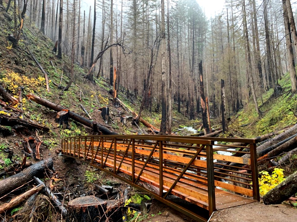 Bridge along Larch Mountain Trail, Nov 28 2018 courtesy of Andrew Weygandt, Columbia River Gorge National Scenic Area