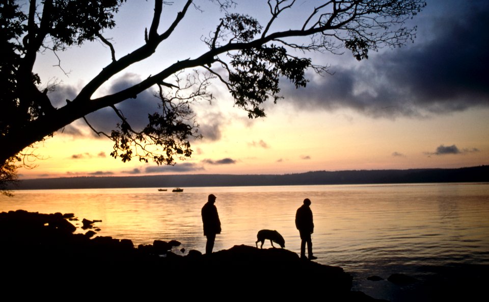 Dawn at Seal Rock Beach on Hood Canal, WA Olympic National Forest