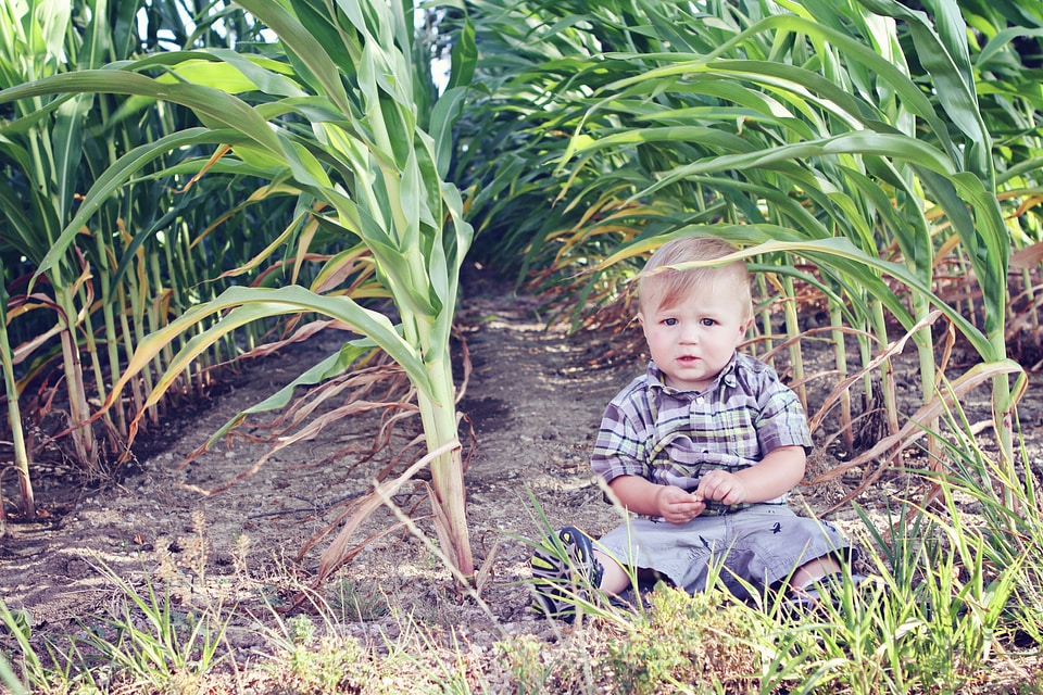 Young child sitting