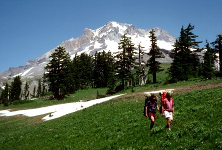 Backpackers at Paradise Park-Mt Hood photo