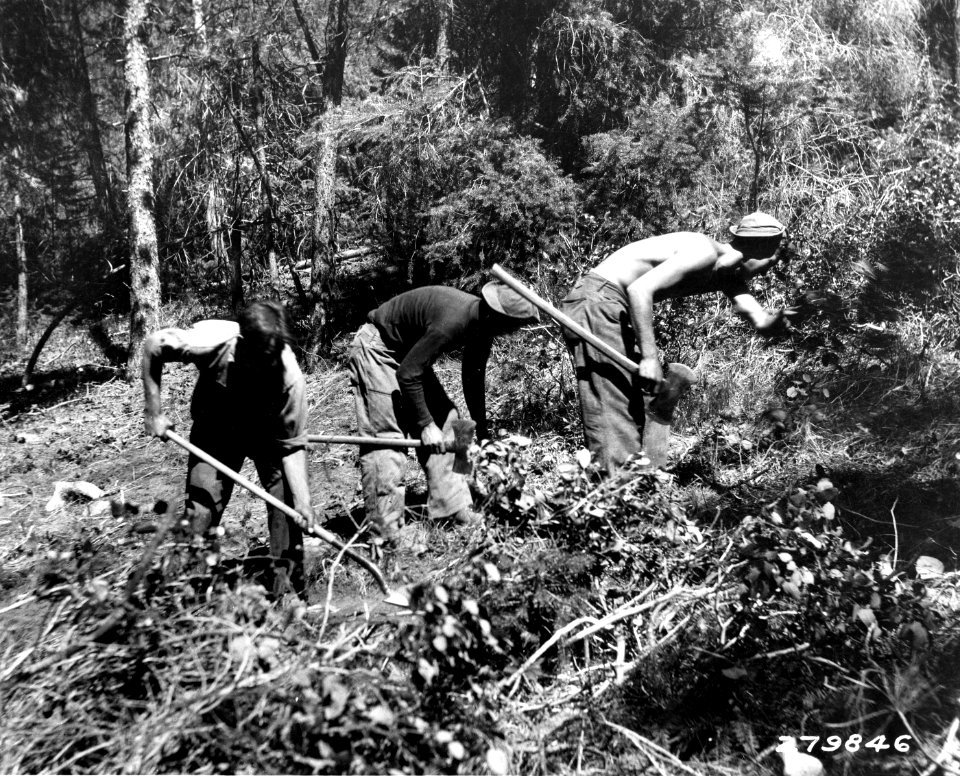 279846 CCC Camp Maury Fire Training, Ochoco NF, OR 1933
