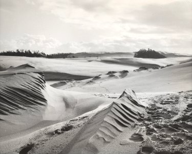 dunes landscape2 photo