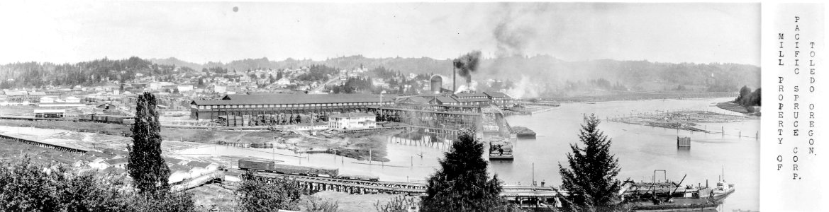 Pacific Spruce Corp Sawmill at Toledo