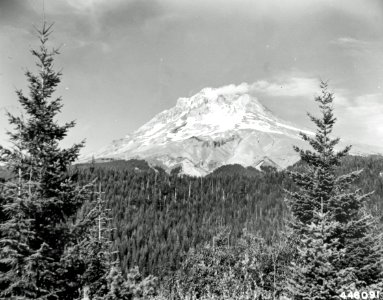 448091 Mt. Hood from Loop Road, Mt Hood NF, OR 1947 photo