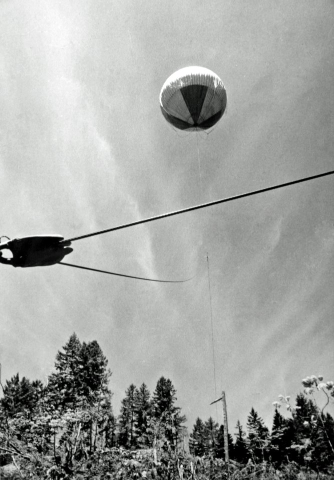 521779 Experimental Balloon Logging, Willamette NF, OR