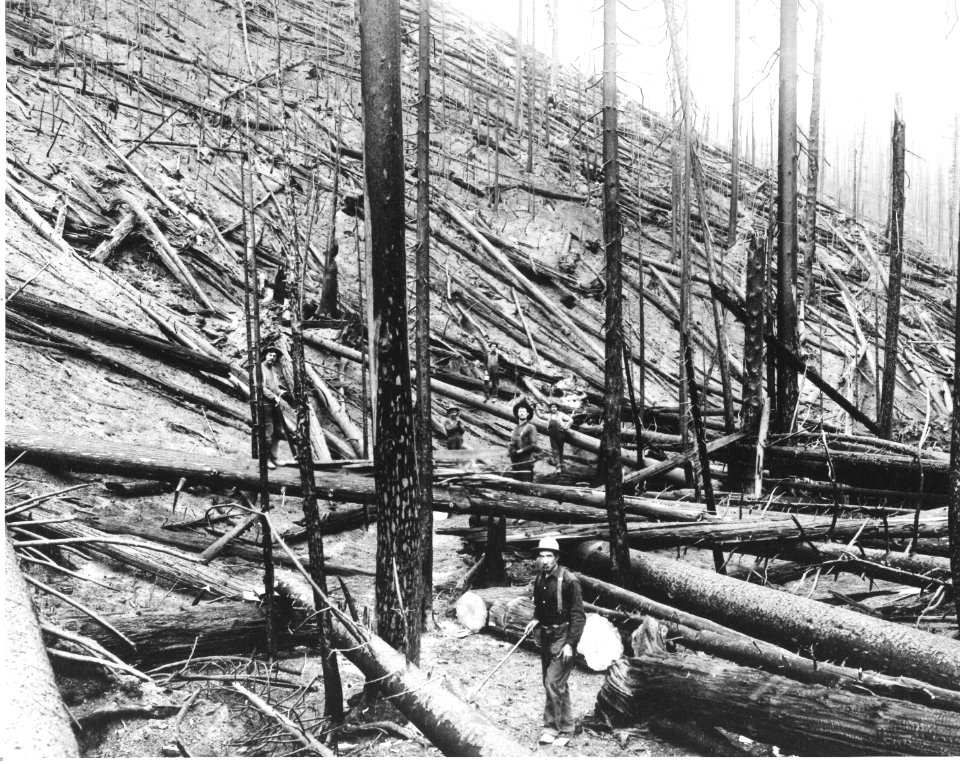 0438   Trail Crew 1910 Fires in ID