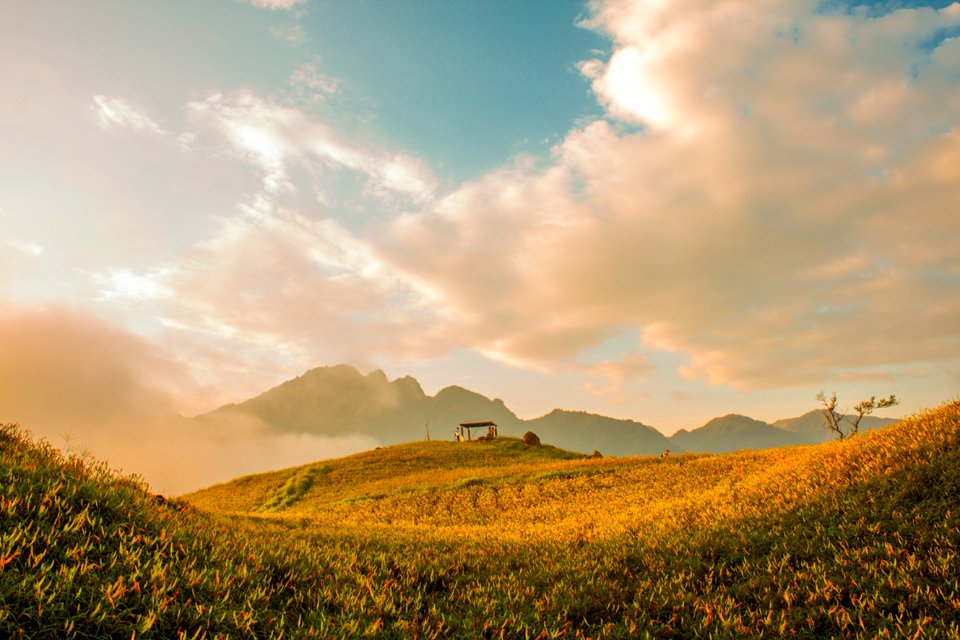 花蓮六十石山