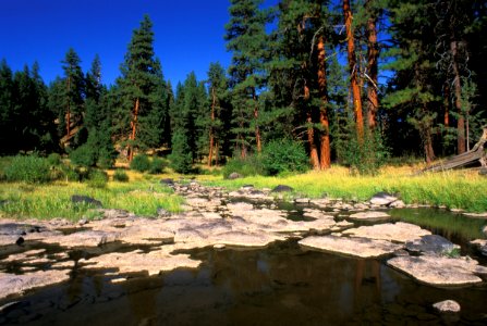 Ochoco National Forest Upper Crooked River photo