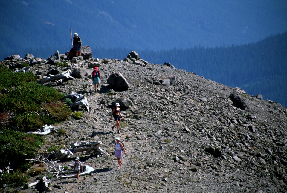 Hikers on Gnarl Ridge Mt Hood National Forest.jpg