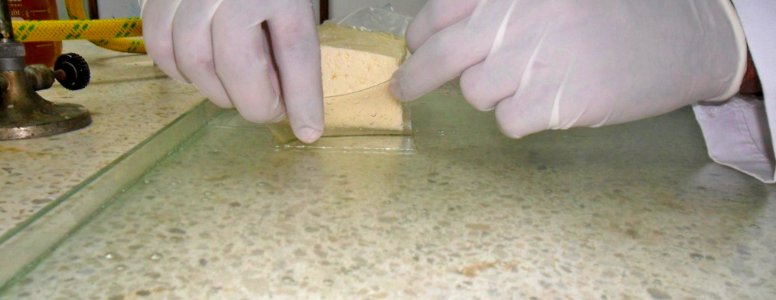 Cubrimiento de queso con película antimicrobiana 1