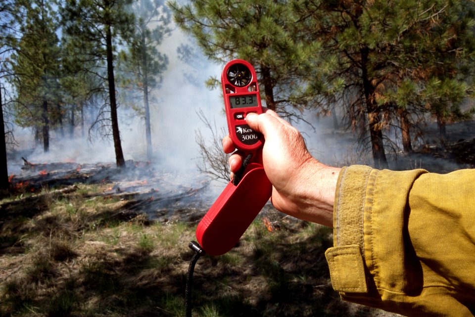 477 Prescribed fire, Okanogan-Wenatchee National Forest