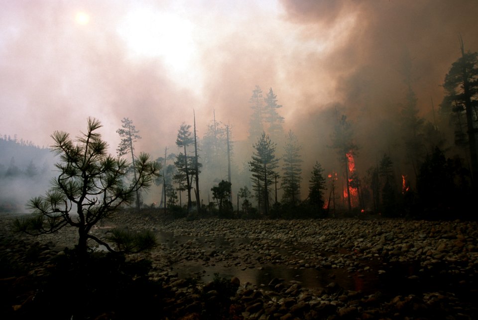 126 Rogue River-Siskiyou National Forest Biscuit Fire