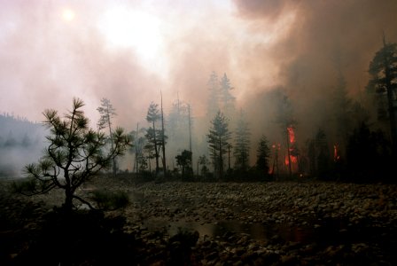 126 Rogue River-Siskiyou National Forest Biscuit Fire photo