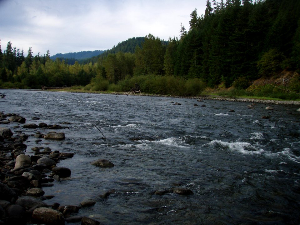 Upper Middle Fork Restoration-Upper Middle Fork Watershed, Willamette National Forest