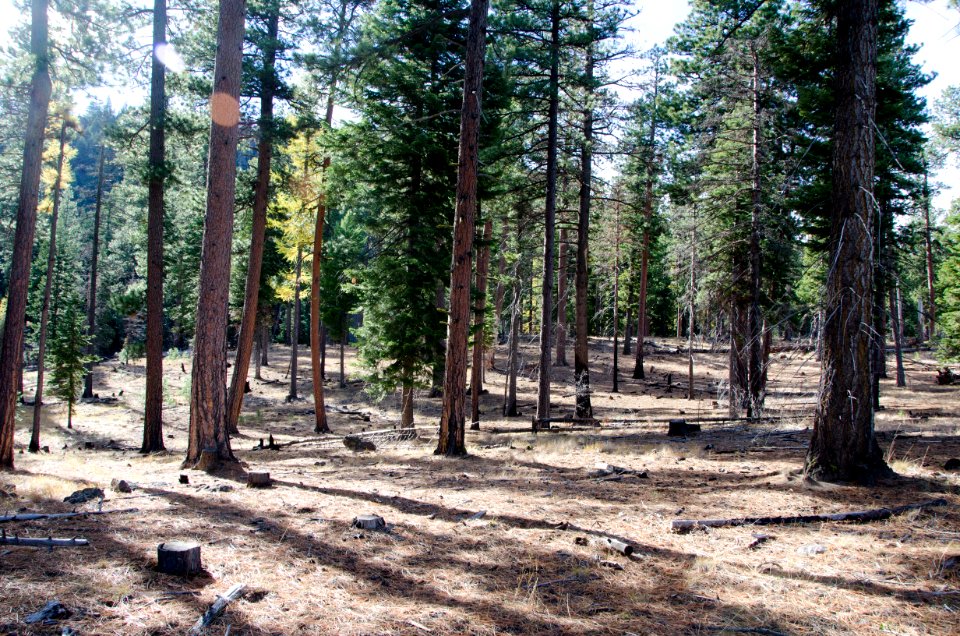 OCHOCO-Sustainability & Resiliency Camp-008