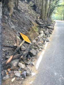 Along Historic Columbia River Highway.  Somewhat ironic that the “Rocks” sign was knocked down by rocks! 9152017