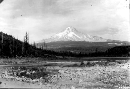 442090  Proposed Trillium Lake Site, Mt. Hood NF, OR 1946
