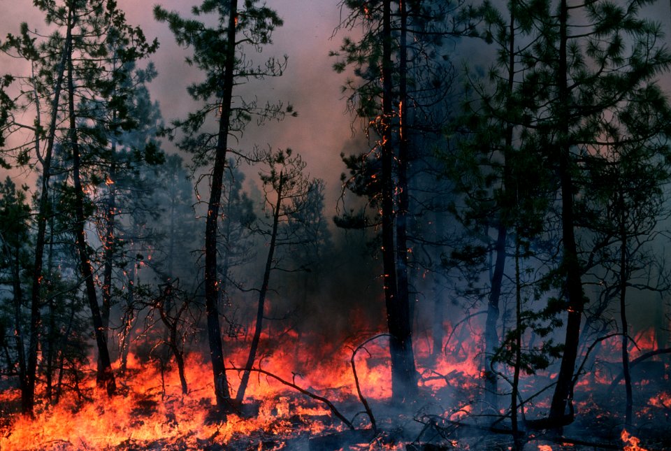 101 Deschutes National Forest Aubrey Hall Fire