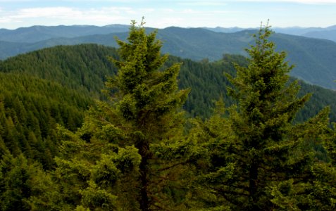 View from Bald Knob Lookout, Rogue River Siskiyou National Forest photo