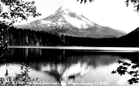 CX-366 Mt. Hood from Lost Lake, Oregon 2