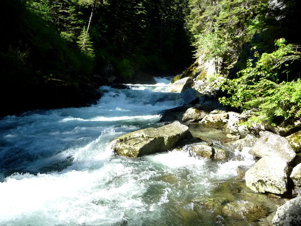 Lostine River at Pole Bridge, Wallowa-Whitman National Forest photo