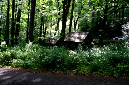 Wahkeena Falls Historic Cabins-Columbia River Gorge