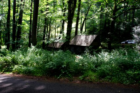 Wahkeena Falls Historic Cabins-Columbia River Gorge photo