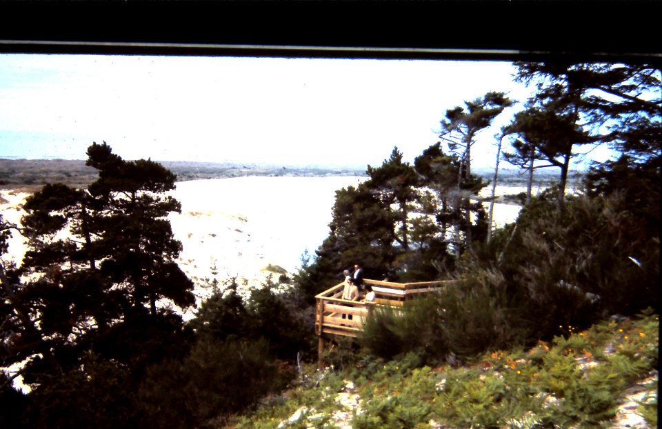 adults overlook hillside