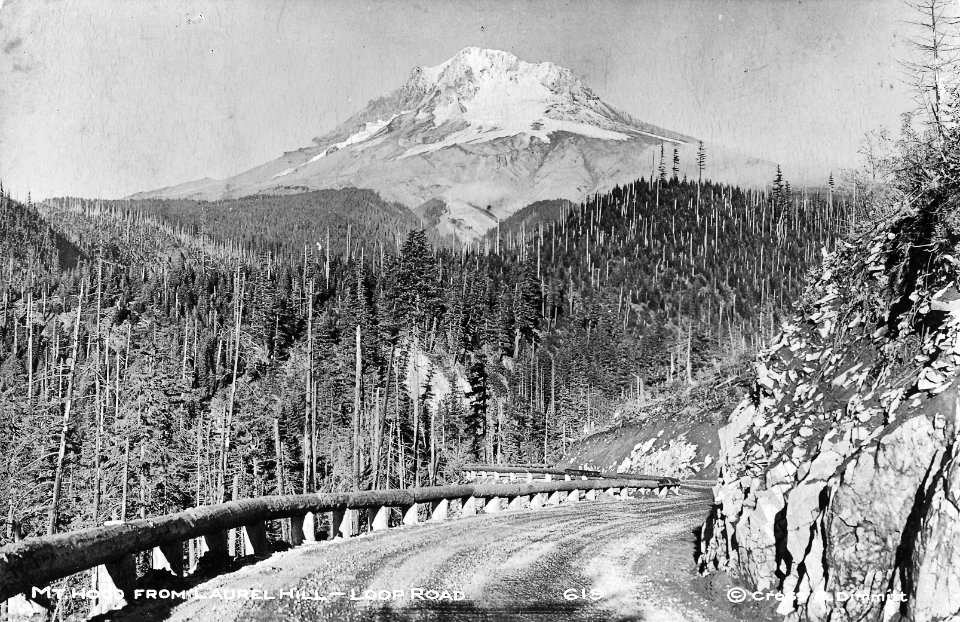 619 Mt. Hood from Laurel Hill - Loop Road - C&D