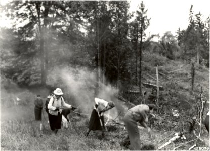 Women's Forest Service Reserve building a practice fire around a small slash fire, 1945