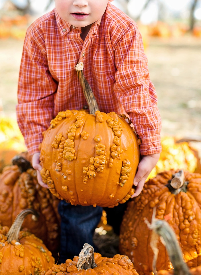 Orange fall harvest
