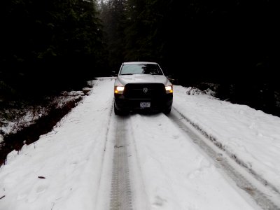 Forest Service Road 2204 by Pete's Creek Trailhead in Winter, Olympic National Forest