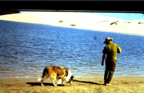 Lassie dune lake photo