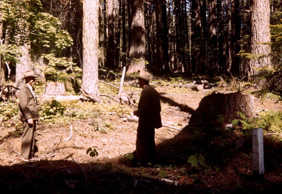 269 Mt Hood National Forest, Two rangers in field