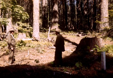 269 Mt Hood National Forest, Two rangers in field photo