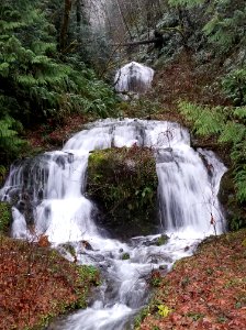 FS Olympic Waterfall off Forest Road 2900400.