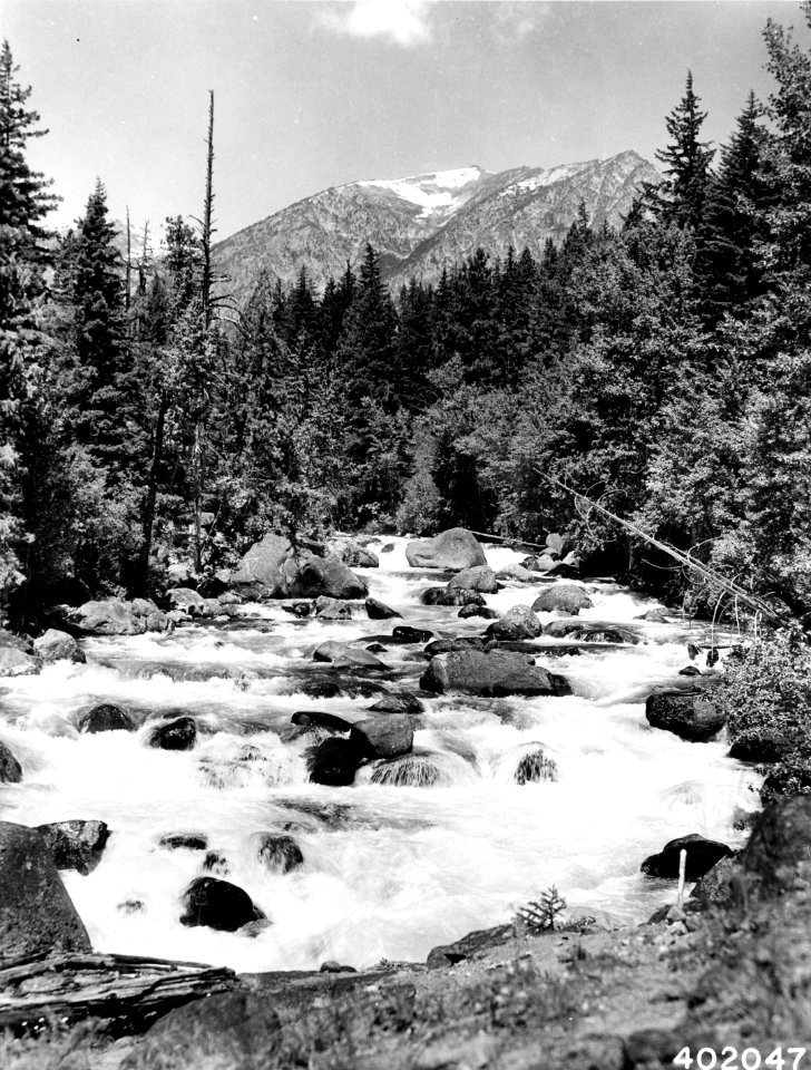 402047 Icicle River, Wenatchee NF, WA 1934