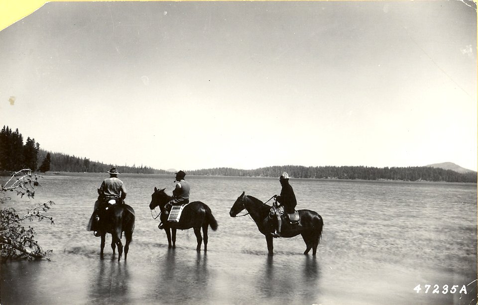 16100-10 Three foresters wading horses in unidentified lake c1920