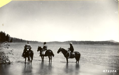 16100-10 Three foresters wading horses in unidentified lake c1920