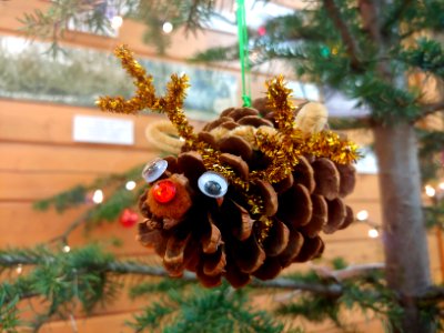 2019-Dec-deLeon-ColvilleNF-christmas-decoration-pine-cone photo