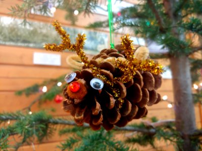 2019-Dec-deLeon-ColvilleNF-christmas-decoration-pine-cone