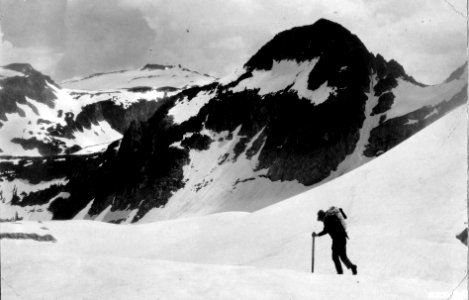 227174 Pendant Glacier, Snoqualmie NF, WA 1928
