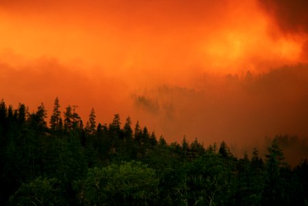 108 Rogue River-Siskiyou National Forest Biscuit Fire photo