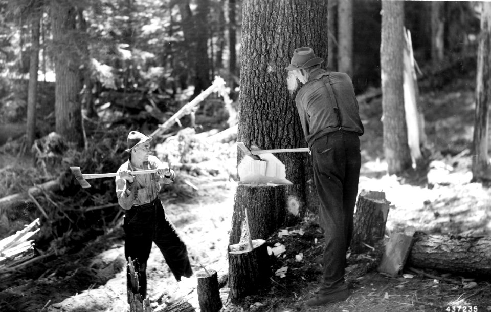 437235 Axe Cutting, Columbia NF, WA 1945