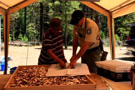 Deschutes National Forest Recreation mushroom havester photo